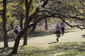 Rolling Meadows, Wimberly Texas