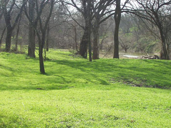 Circle Ranch Disc Golf Course